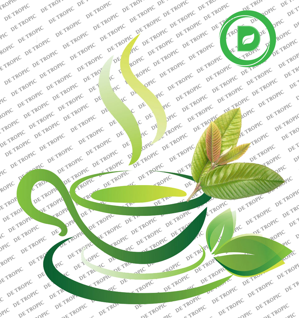 Detropic Guava Leaf Tea Cuts-Antioxidants Rich -Refreshing & Relaxing / 100% Natural from Tropic 100g