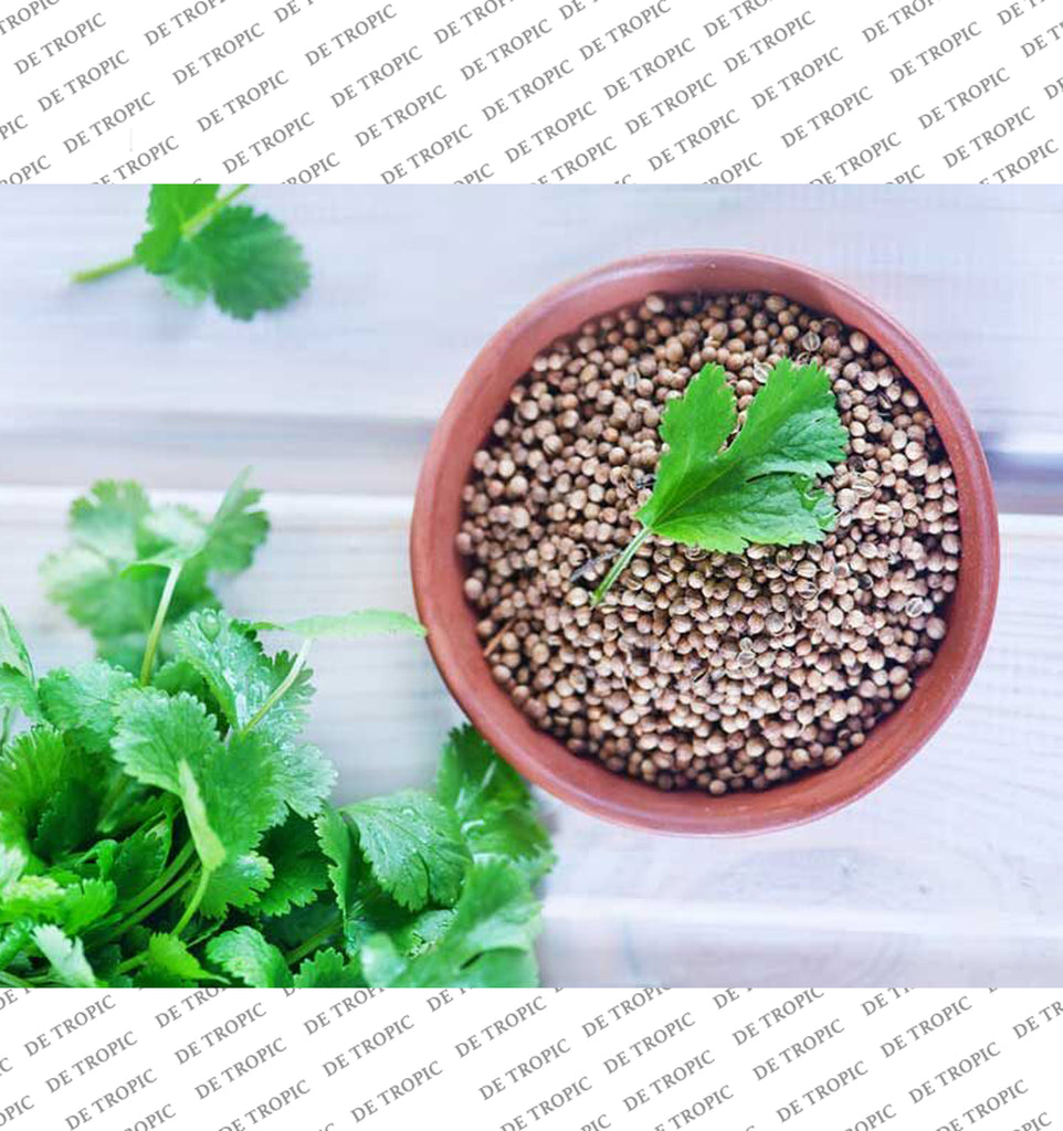 Detropic, Coriander Leaf Powder, Freeze Dried, 100% Pure Premium Quality 100g