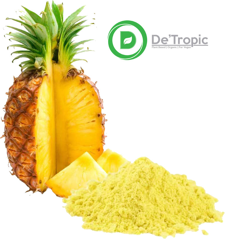 Detropic, Pineapple Powder,Vibrant Tropical Drink, Deliciously Sweet and Tart,Mineral Manganese,100g